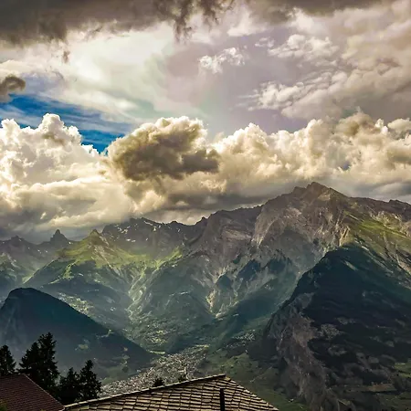 Buffalo 16p By Jolidi Nendaz